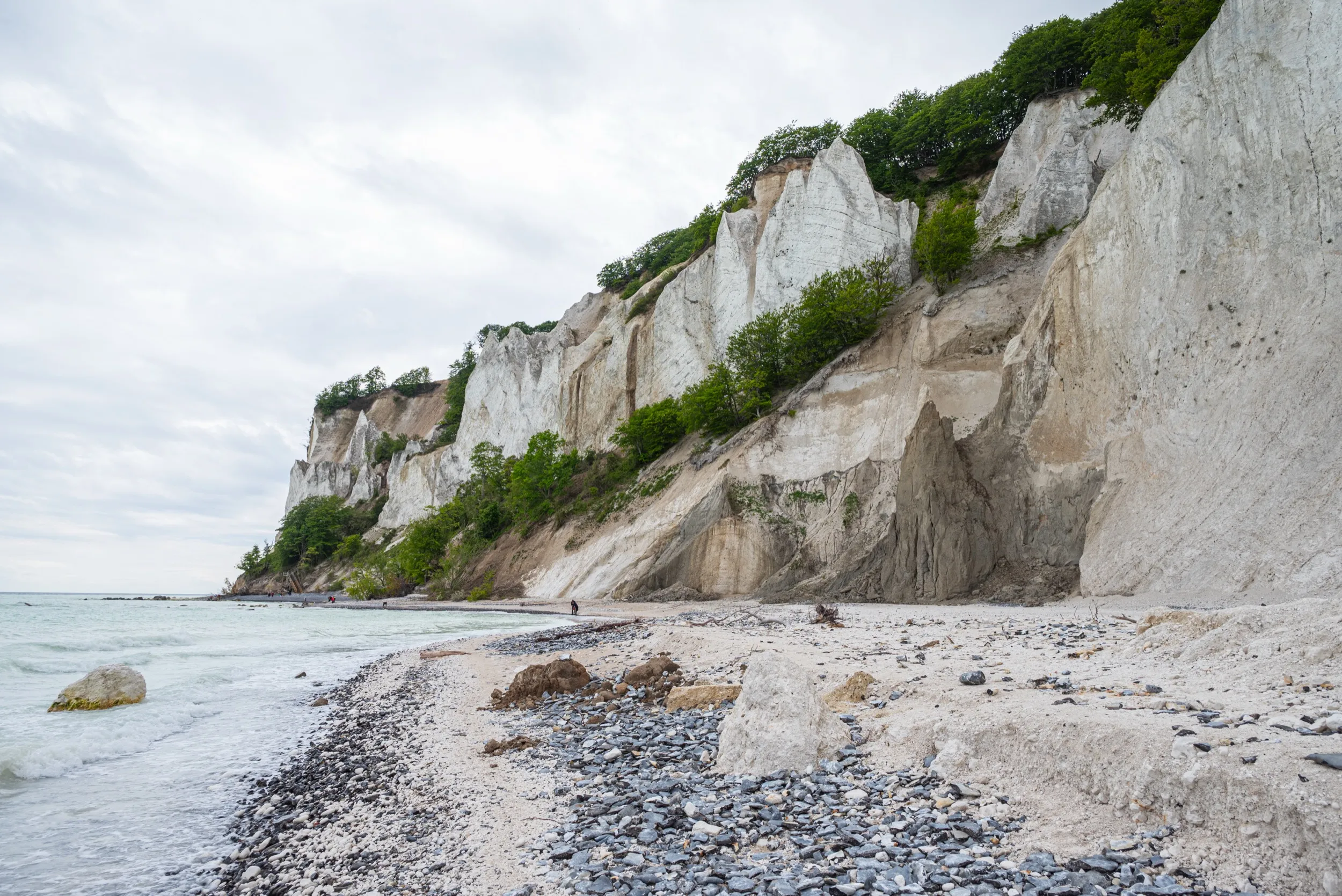 Blick vom Kiesstrand auf die weißen Kreidefelsen mit Buchen an der Steilkante