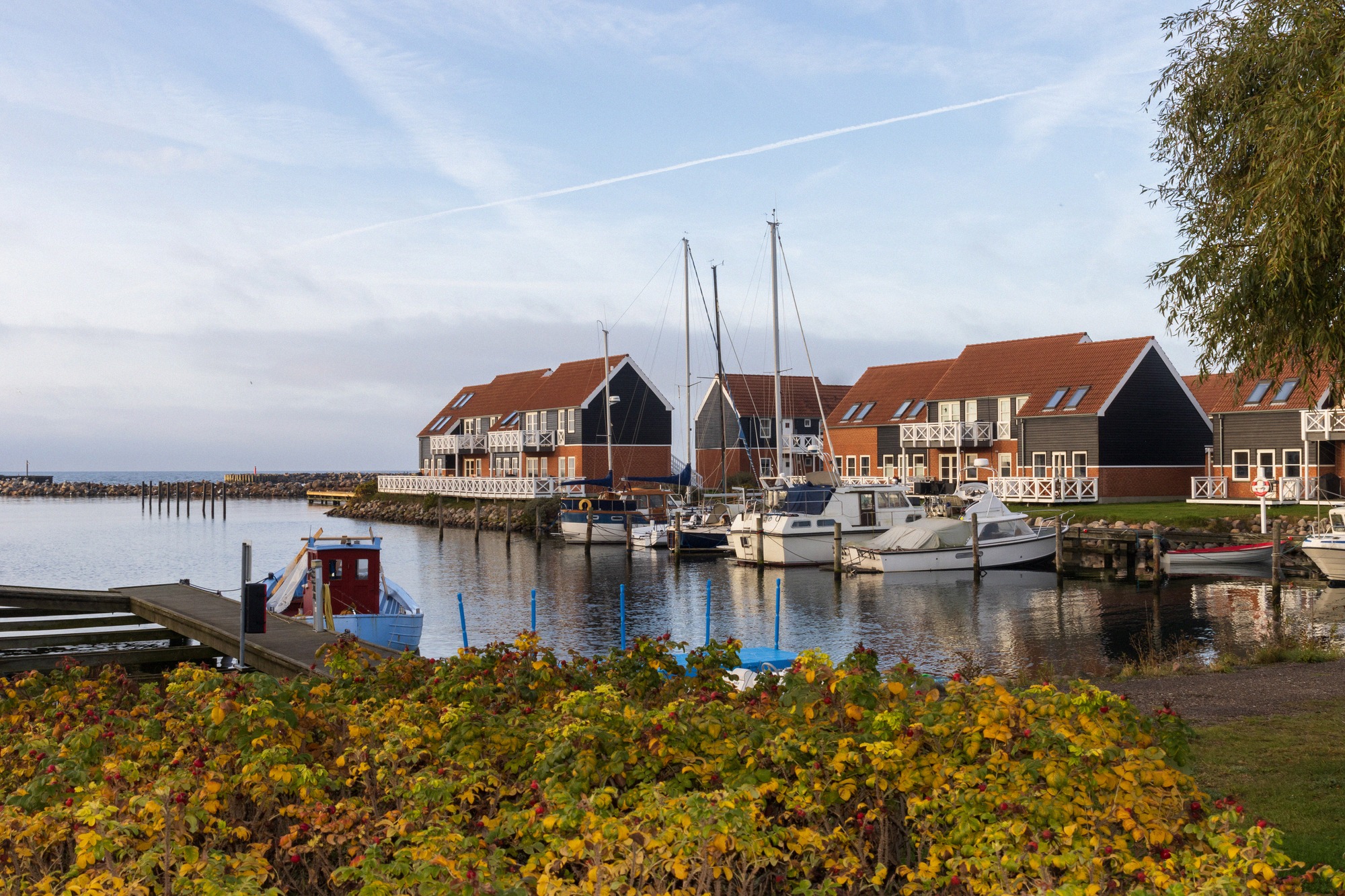 Klintholm Havn: fresh fish right at the harbour. Klintholm Havn with sailing boats and resort buildings in autumn light