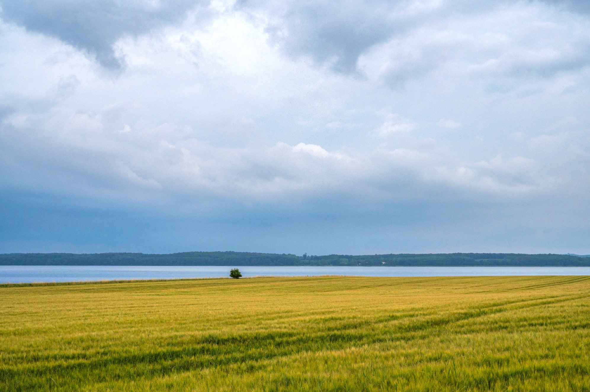 Salt marshes and shallow bays define the landscape of Nyord. Storm clouds over the fields and waters of Nyord