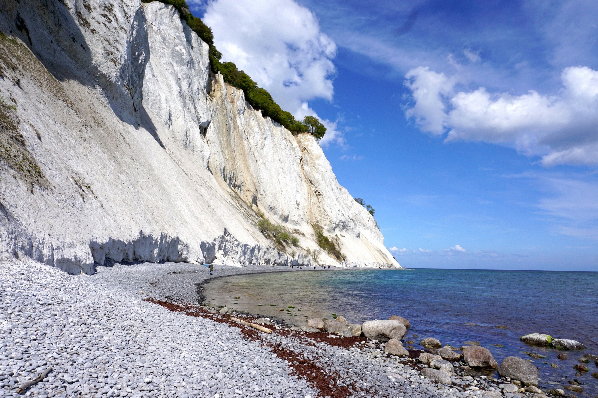 Die beeindruckenden weißen Kreidefelsen von Møns Klint ragen über dem sandigen Strand der Ostsee empor.